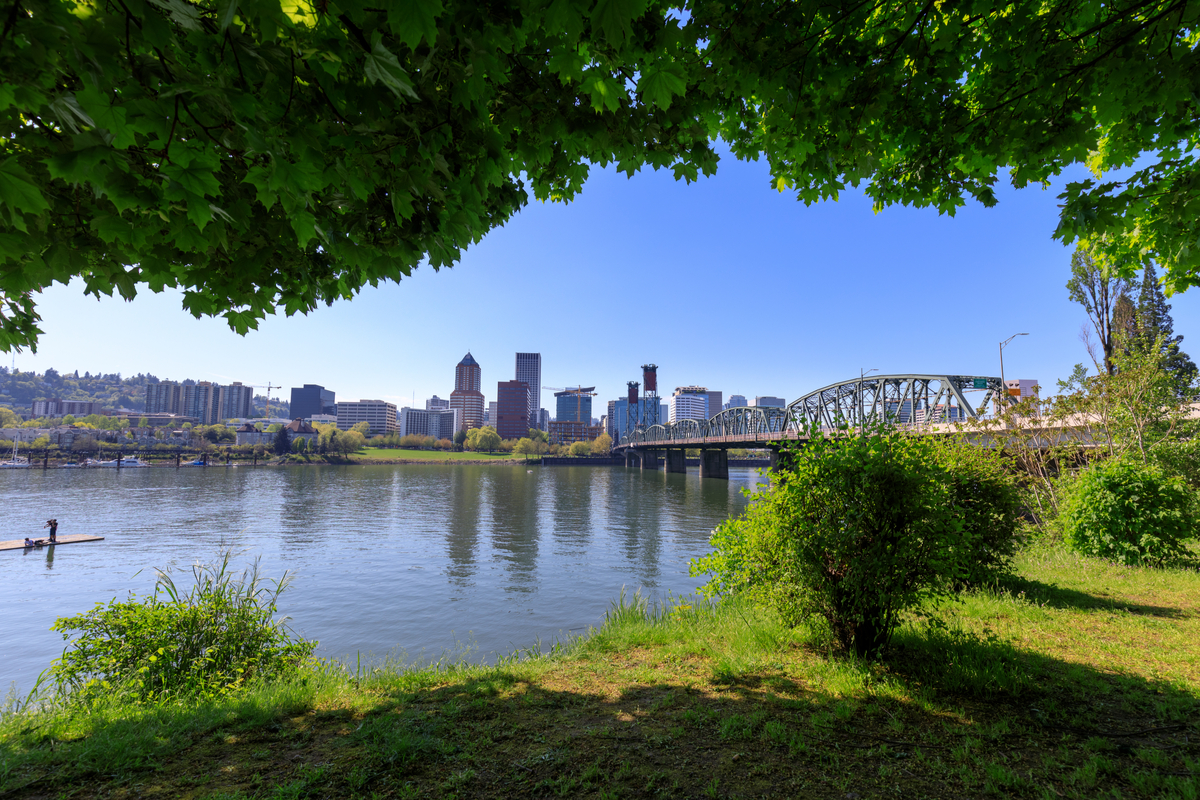 portland oregon trees bridge buildings in background