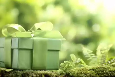 green gift