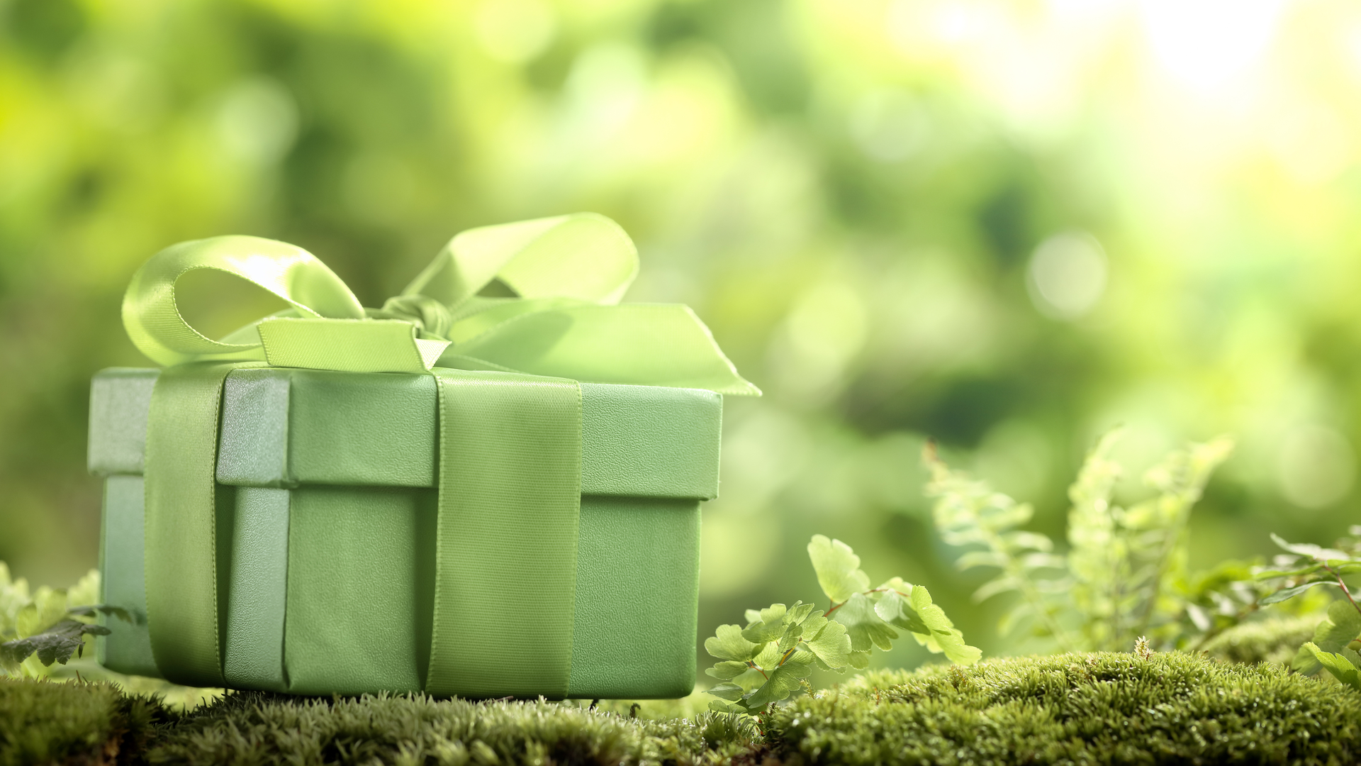 green gift