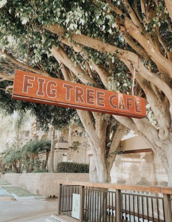 Fig Tree Cafe