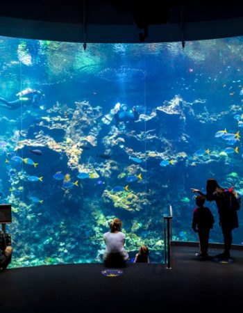 California Academy of Sciences