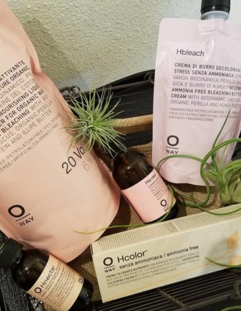 Ingenious Organic Concept Salon