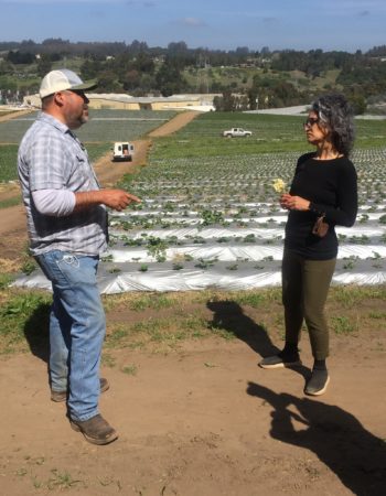 Bay Area Green Tours