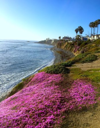 La Jolla Kayak