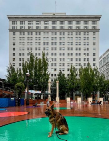 Pioneer Courthouse Square