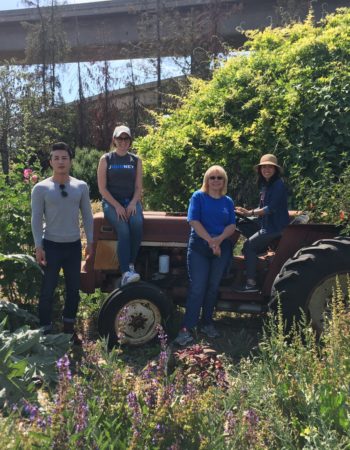 Bay Area Green Tours