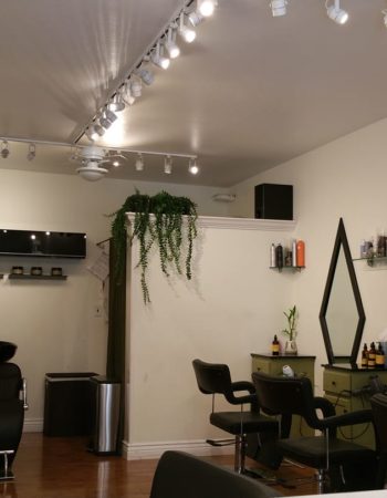 Ingenious Organic Concept Salon