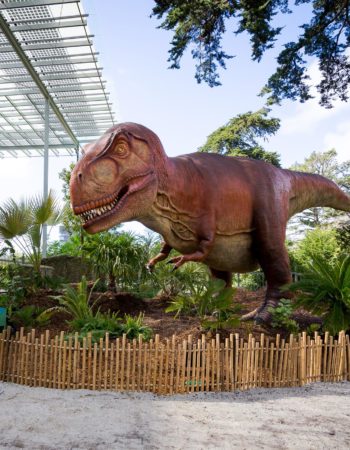 California Academy of Sciences