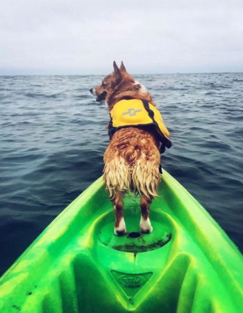 La Jolla Kayak