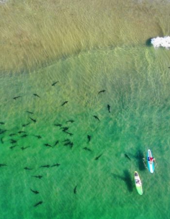 La Jolla Kayak