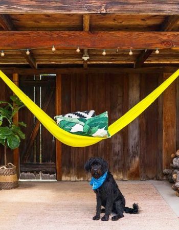 Yellow Leaf Hammocks