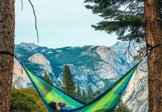 Yellow Leaf Hammocks