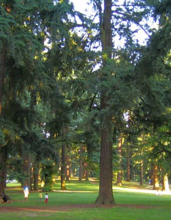 Mt. Tabor City Park