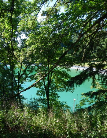 Mt. Tabor City Park