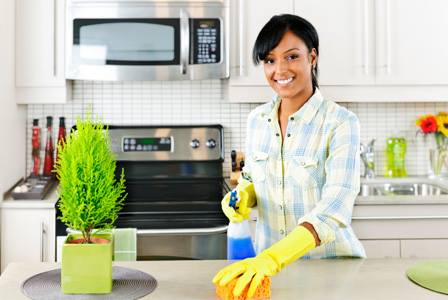 Seattle’s Green Cleaning Fairy