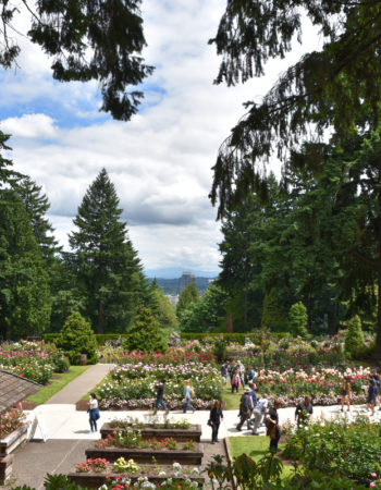 International Rose Test Garden